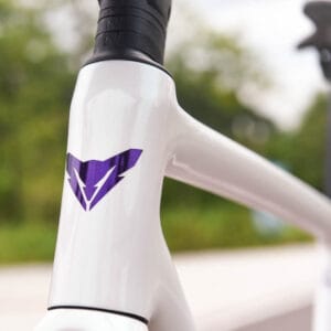 Frame and front fork logo