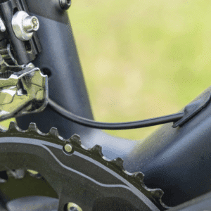 Fantasy Fox carbon fiber melon car details