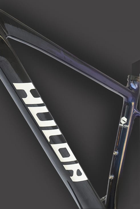 HALDA Caesar Hardtail MTB Carbon frame