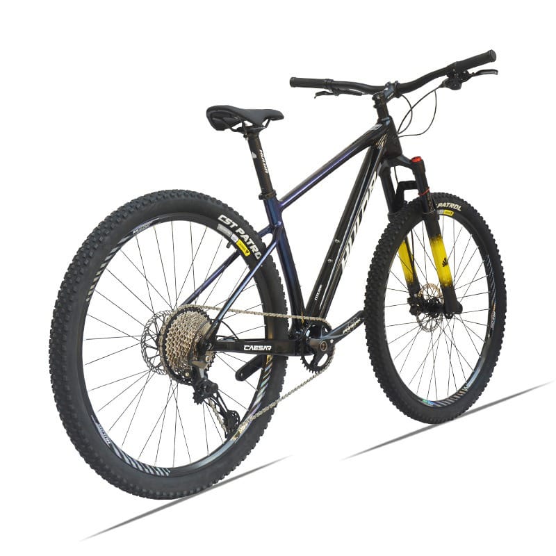 HALDA Caesar Hardtail MTB Achteraanzicht vanaf de zijkant HALDA Caesar Hardtail MTB Achteraanzicht vanaf de zijkant