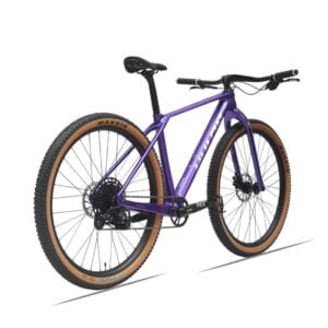 HALDA POISON flat bar gravel bike Rear view