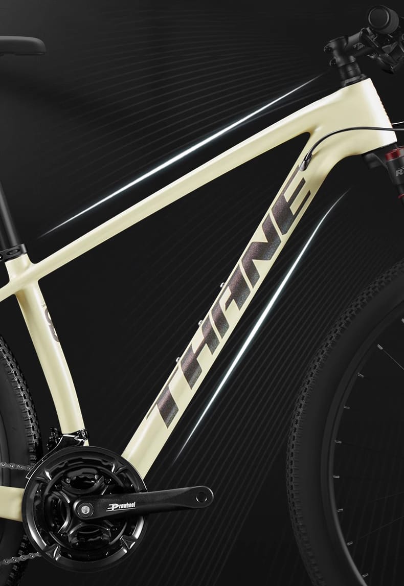 THANE EAGLE Hardtail Mountain Bike Carbon Fiber Frame